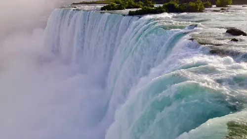 Le monde sauvage des chutes du Niagara