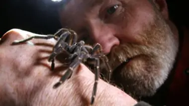 Dans les forêts inondées de l'Amazonie