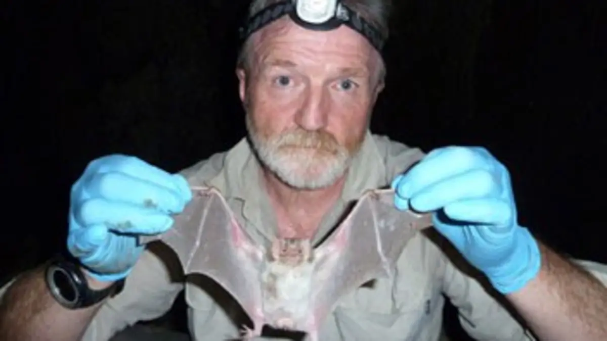 Le monde secret de la nuit