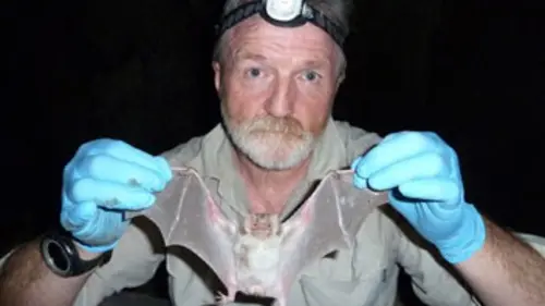 Épisodes de Le monde secret de la nuit