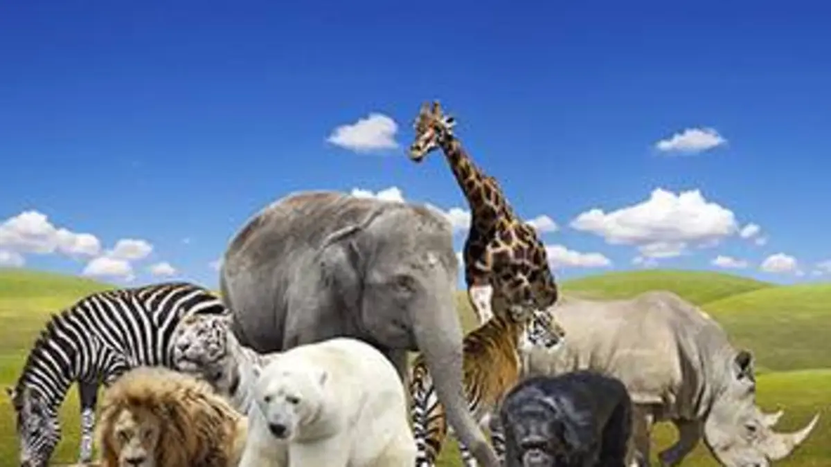 Casting Le monde secret des animaux minuscules