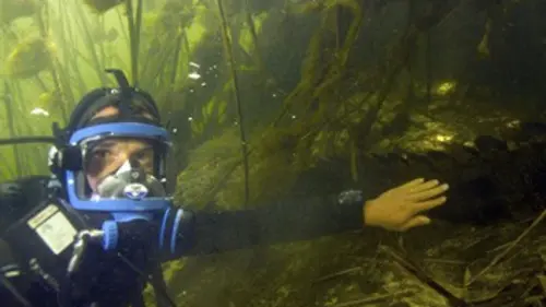 Épisodes de Le monde secret des crocodiles