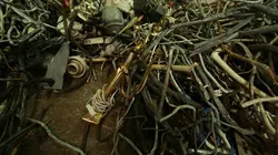 Le monde selon Kal Des poubelles en or