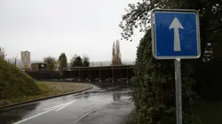 Le monde selon Kal Le pouvoir du sexe