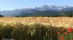 Visuel de Le monde vu du train