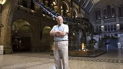 Visuel de Le Museum prend vie