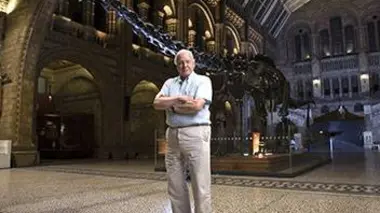 Le Museum prend vie