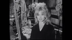Le mystère Bardot