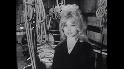 Le mystère Bardot