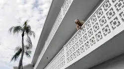 Le mystère D.B. Cooper