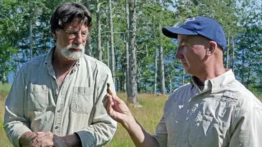 Le mystère d'Oak Island Dunfield en aiguille