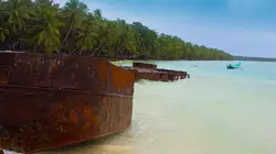 Sur RMC Découverte à 21h10 : Le mystère d'Oak Island
