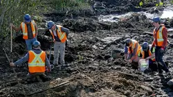 Le mystère d'Oak Island Liens de cuir en streaming