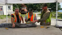 Le mystère d'Oak Island Cache-cache