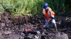 Le mystère d'Oak Island Tonneau mystérieux