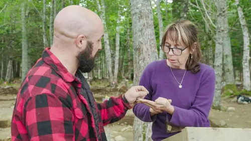 Le mystère d'Oak Island La mère de toutes les solutions en streaming