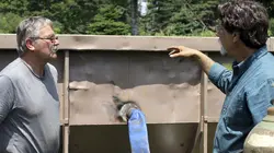 Le mystère d'Oak Island Le plan d'ensemble