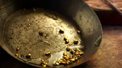 Le mystère d'Oak Island Puits-tu le croire ?