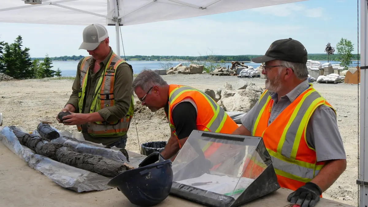 Visuel de Le mystère d'Oak Island Accumulation