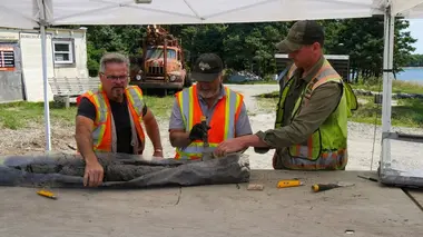 Le mystère d'Oak Island Cache-cache