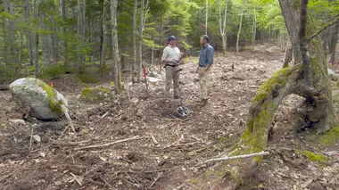 Le mystère d'Oak Island Chevaliers étoilés