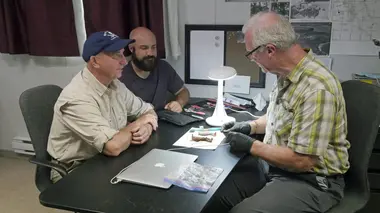 Le mystère d'Oak Island La racine du problème