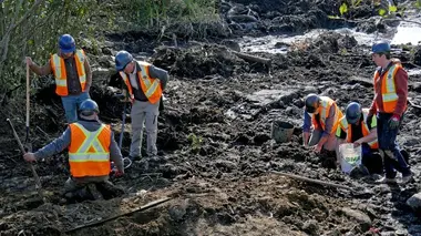 Le mystère d'Oak Island Liens de cuir
