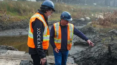 Le mystère d'Oak Island Par la barbe d'Odin !