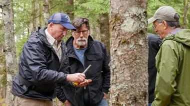 Le mystère d'Oak Island Situation critique