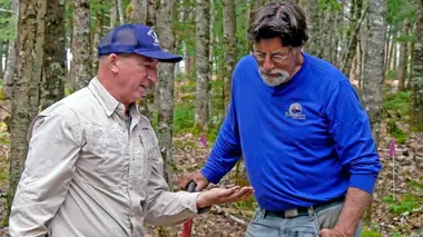 Le mystère d'Oak Island Tout ce qu'on désirait