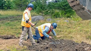 Le mystère d'Oak Island Un mouvement quadrilatéral
