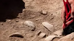 Visuel de Le mystère de l'or des confédérés
