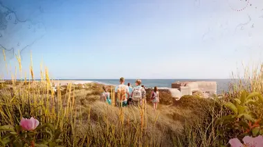 Le mystère de la Chambre d'ambre
