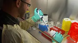 Visuel de Le mystère de la maladie de Lyme