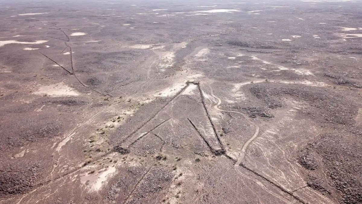 Le mystère des cerfs-volants du désert