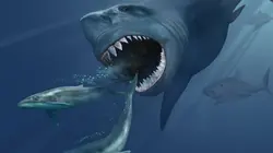 Le mystère des géants disparus