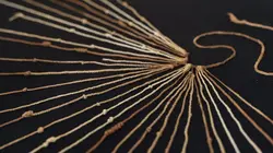 Visuel de Le mystère des Incas : des origines à la chute