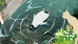 Le mystère des pingouins