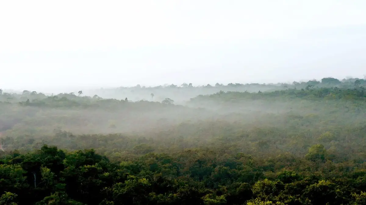 Le mystère des rivières volantes d'Amazonie