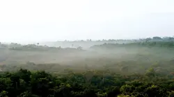 Visuel de Le mystère des rivières volantes d'Amazonie
