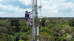 Le mystère des rivières volantes d'Amazonie