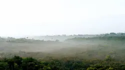 Le mystère des rivières volantes d'Amazonie