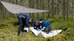 Le mystère des tourbières