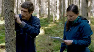 Le mystère des tourbières