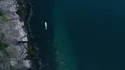 Le mystère du béluga espion