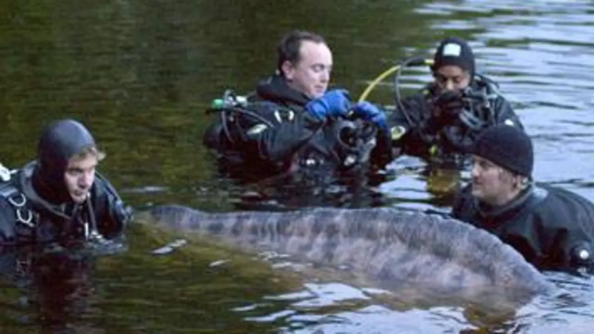 Le mystère du Loch Ness