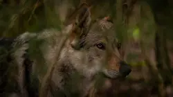 Le Noël de Walter S01E02 La métamorphe