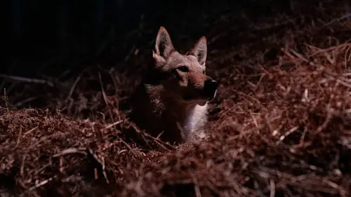 Casting Le Noël de Walter S01E22 Operation réussie