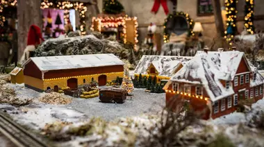 Le gardien de la forêt