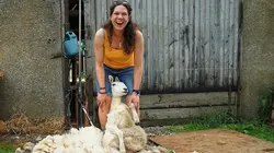 Visuel de Le Nord sauvage de l'Ecosse : Des moutons et des surfeurs